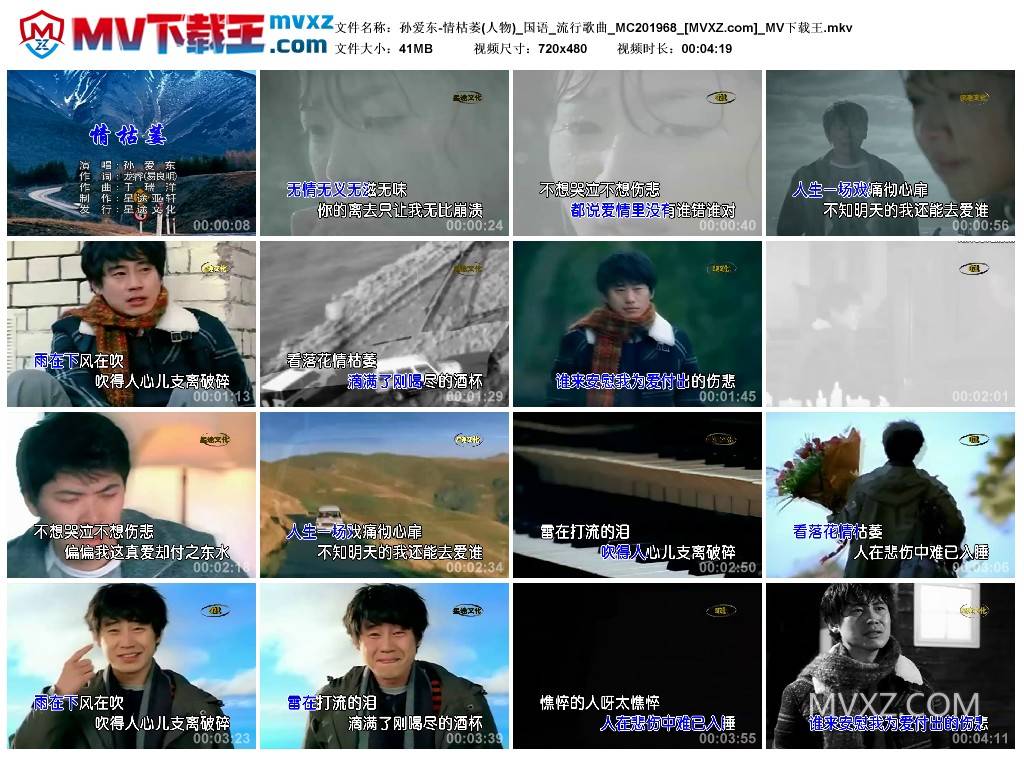 孙爱东-情枯萎(人物)_国语_流行歌曲_MC201968